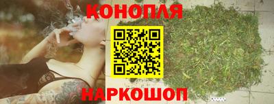 PSILOCYBIN Камышлов