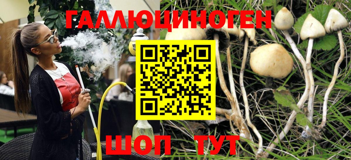 Псилоцибиновые грибы прущие грибы  Галлюциногенные грибы мицелий  Балашов  Вход с VPN 